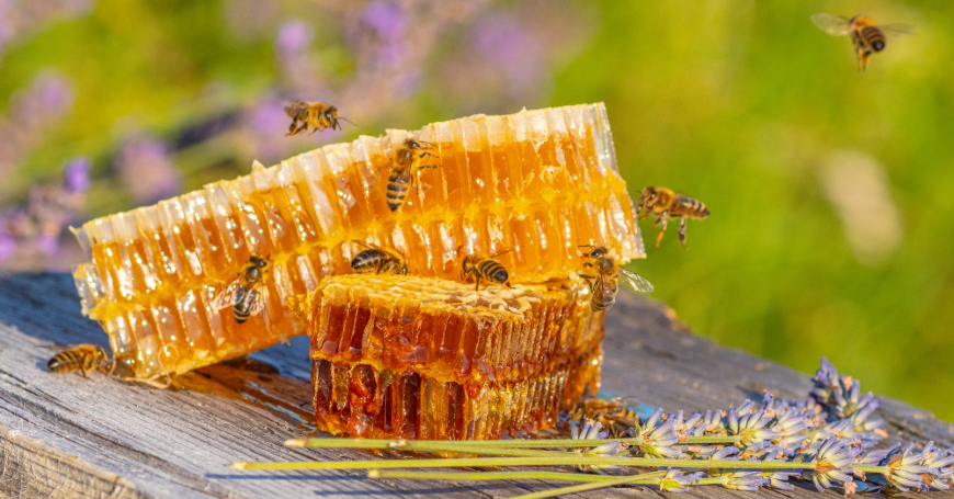 Health Benefits of Raw Honey – Pure Western Australian Honey