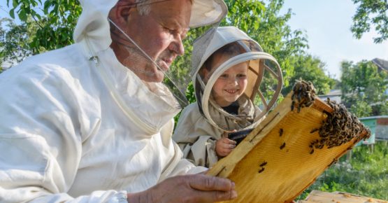 Protecting Western Australian Bees