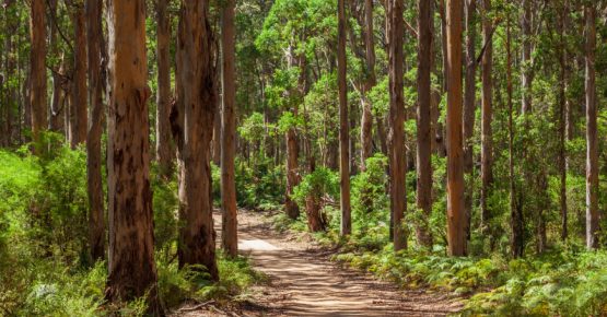Western Australia